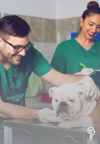 AUXILIAR VETERINÁRIO